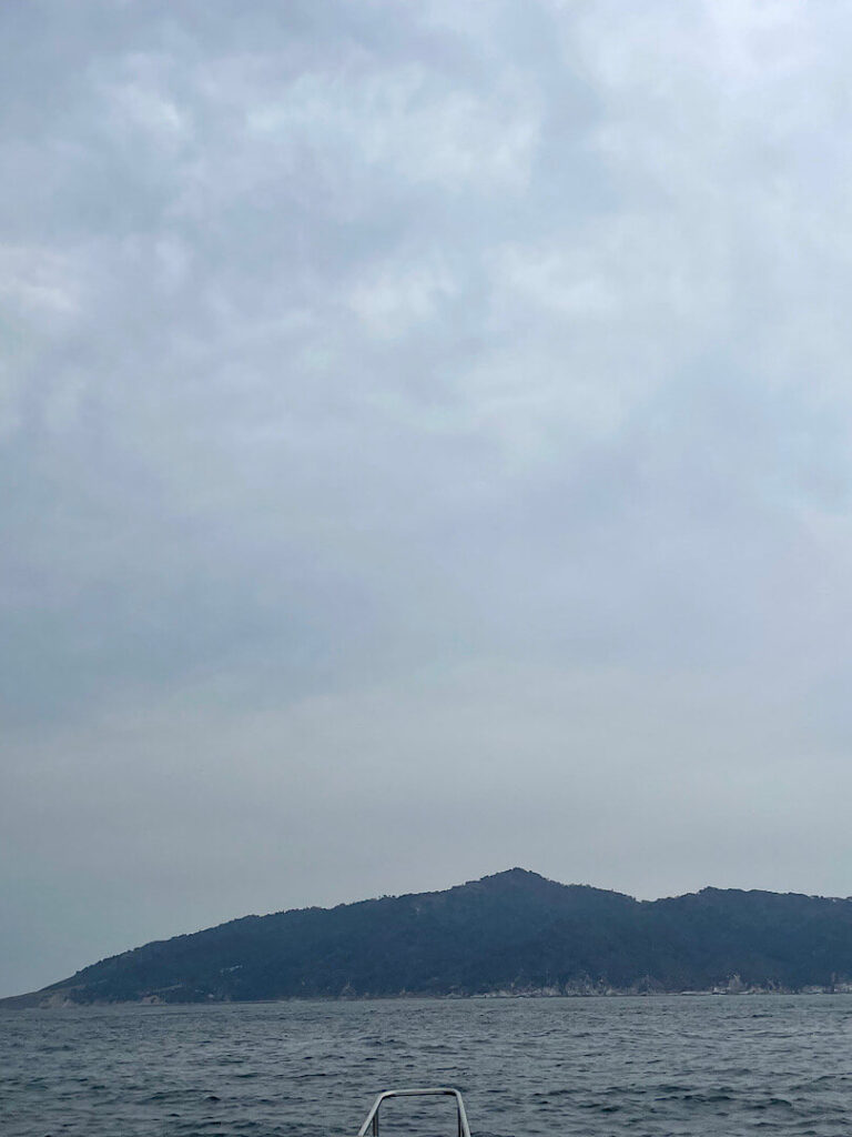 段々近づいていく金華山