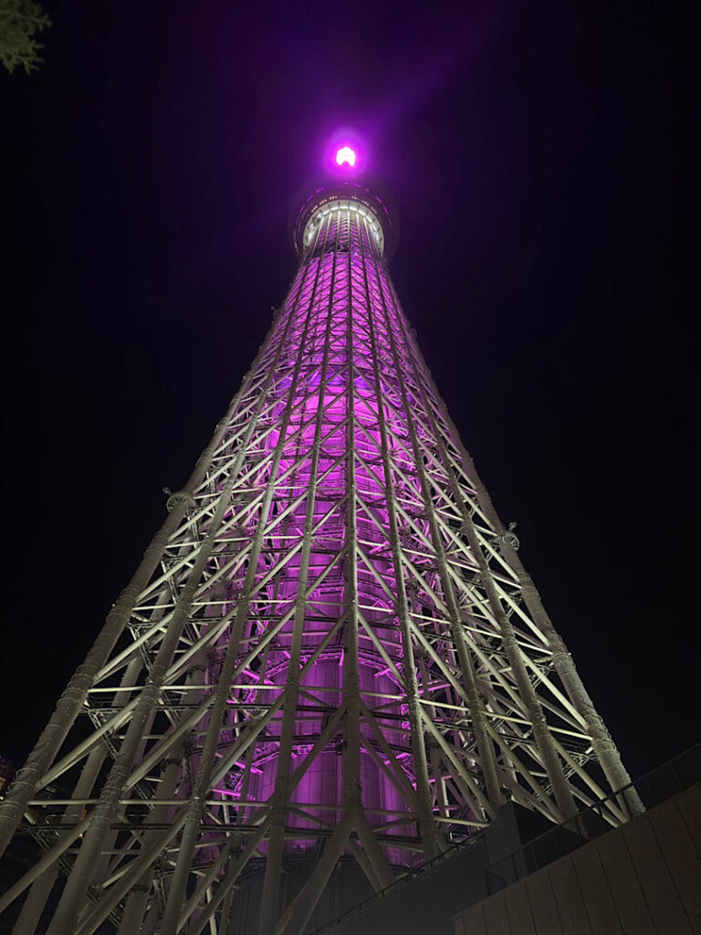 東京スカイツリーのテーマカラー（雅）