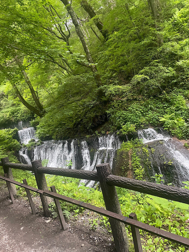 白糸の滝の道中(3)