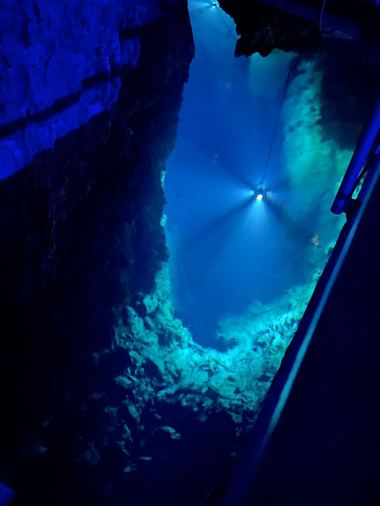 輝くドラゴンブルー