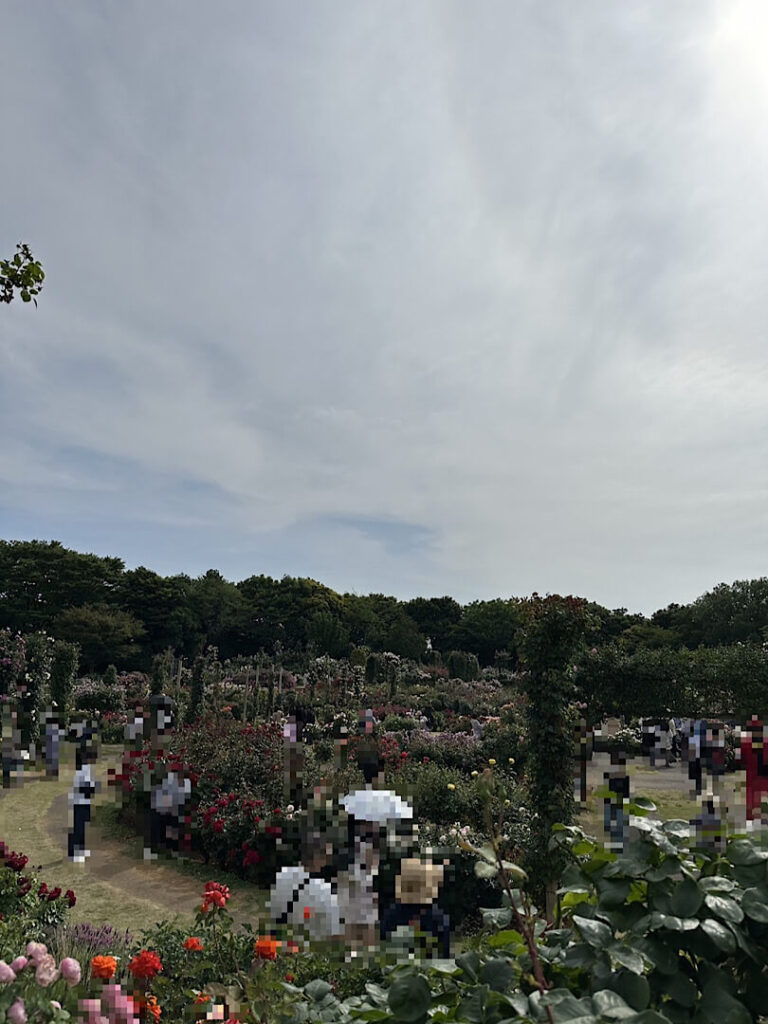 京成バラ園の全体画像